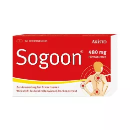 SOGOON Comprimidos recubiertos con película de 480 mg, 50 uds