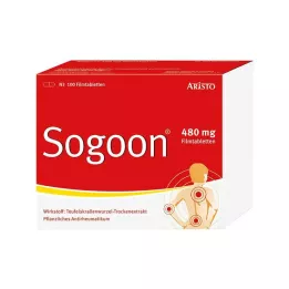 SOGOON Comprimidos recubiertos con película de 480 mg, 100 uds