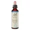 BACHBLÜTEN Gotas de haya, 20 ml
