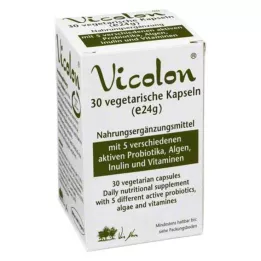 VICOLON cápsulas, 30 uds