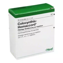 COLOCYNTHIS HOMACCORD Ampoules, 10 pz