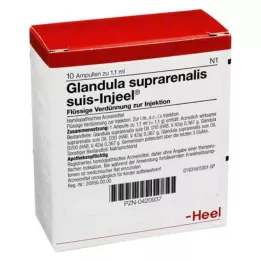GLANDULA SUPRARENALIS Suis Injel Ampoules, 10 pz
