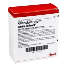 GLANDULA THYMI Suis Injel Ampoules, 10 pz