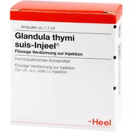 GLANDULA THYMI Suis Injel Ampoules, 100 pz