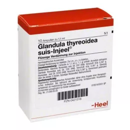 GLANDULA THYREOIDEA Suis Injel Ampoules, 10 pz