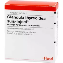 GLANDULA THYREOIDEA Suis Injel Ampoules, 100 pz