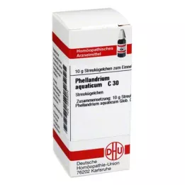 PHELLANDRIUM AQUATICUM C 30 Glóbulos, 10 g