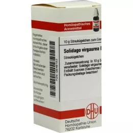 SOLIDAGO VIRGAUREA D 8 Glóbulos, 10 g