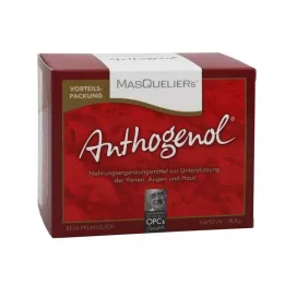 OPC ORIGINAL Cápsulas de Anthogenol de Masqueliers, 75 uds