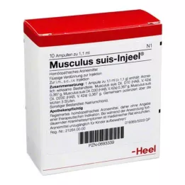 MUSCULUS SUIS Ampoules injustos, 10 pz