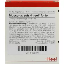 MUSCULUS SUIS AMPOULAS FORTE DELEEL, 10 pz