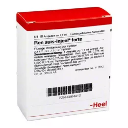 REN Ampollas de Injeel Forte, 10 uds