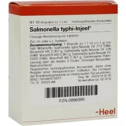 SALMONELLA TYPHI Ampoules injustos, 10 pz