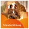 VOLTAREN Dolo 25 mg comprimidos recubiertos, 20 uds