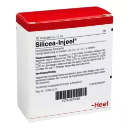 SILICEA INJEEL Ampoules, 10 pz