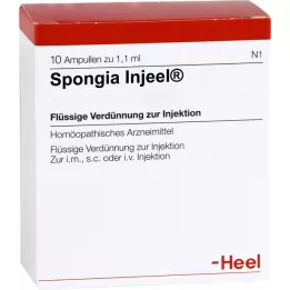 Spongia INN, 10 pz