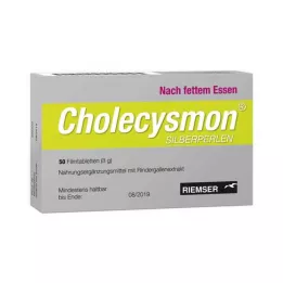 CHOLECYSMON Cuentas de plata, 50 uds