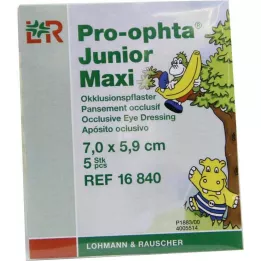 PRO-OPHTA Yeso de oclusión maxi junior, 5 uds