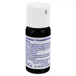ABSINTHIUM/CARYOPHYLLI mezcla comp., 50 ml