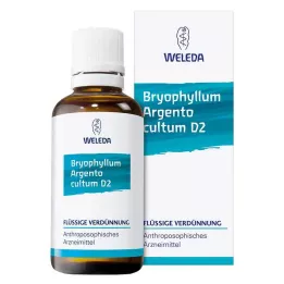 BRYOPHYLLUM ARGENTO Dilución de cultum D 2, 50 ml
