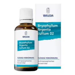 BRYOPHYLLUM ARGENTO Dilución de cultum D 3, 50 ml