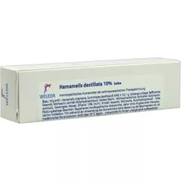 HAMAMELIS DESTILLATA 10% de ungüento, 25 g
