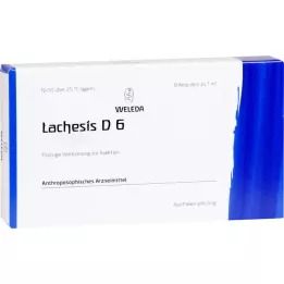 LACHESIS D 6 ampolas, 8x1 ml
