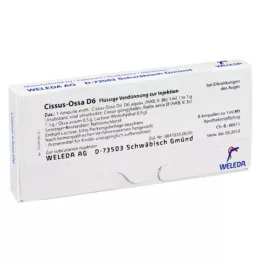 CISSUS-OSSA D 6 ampollas, 8X1 ml