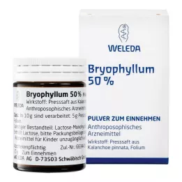 BRYOPHYLLUM Polvo para uso oral al 50%, 50 g