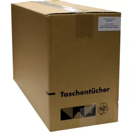 TASCHENTÜCHER Motif vitaminas, 1 pz