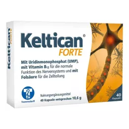 KELTICAN cápsulas forte, 40 uds