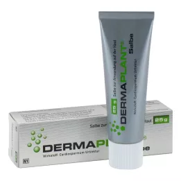 DERMAPLANT Ungüento, 25 g
