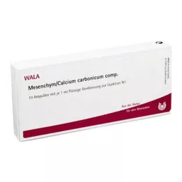 MESENCHYM/CALCIUM Comp. Carbonicum ampollas, 10X1 ml