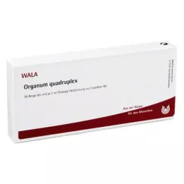 ORGANUM Ampollas cuádruplex, 10X1 ml
