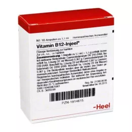 VITAMIN B12 INJEEL ampollas, 10 uds