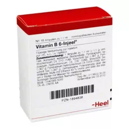 VITAMIN B6 INJEEL ampollas, 10 uds