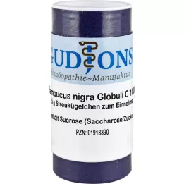 SAMBUCUS NIGRA C 1000 glóbulos monodosis, 0,5 g