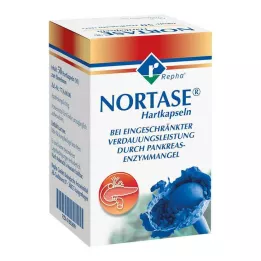 NORTASE cápsulas, 50 uds