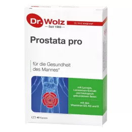 PROSTATA PRO Cápsulas Dr.Wolz, 2X20 uds