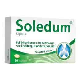 SOLEDUM Cápsulas gastrorresistentes de 100 mg, 50 uds
