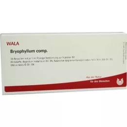 BRYOPHYLLUM COMP.Ampollas, 10X1 ml
