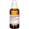Myrtillocactus D 1, 50 ml
