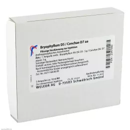 BRYOPHYLLUM D 5/Conchae D 7 Ampoules, 5x10 ml
