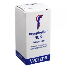 BRYOPHYLLUM Polvo para uso oral al 50%, 20 g