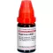 HYPERICUM LM XII Dilución, 10 ml
