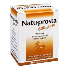 NATUPROSTA Comprimidos recubiertos con película de 600 mg uno, 60 uds