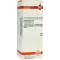 HYPERICUM D 6 Dilución, 50 ml