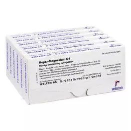 HEPAR MAGNESIUM D 4 ampollas, 48X1 ml