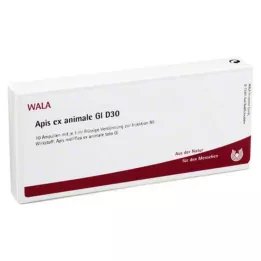 APIS EX animal GL D 30 ampollas, 10X1 ml