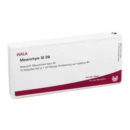 MESENCHYM GL D 6 ampollas, 10X1 ml